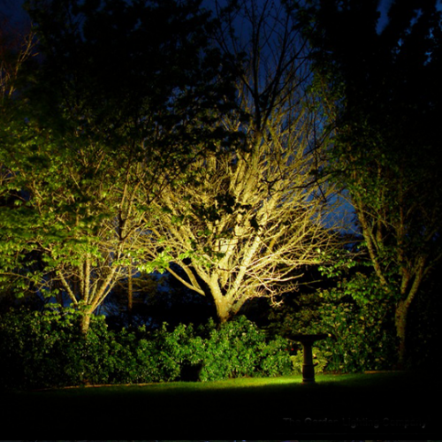 Garden Lights NZ